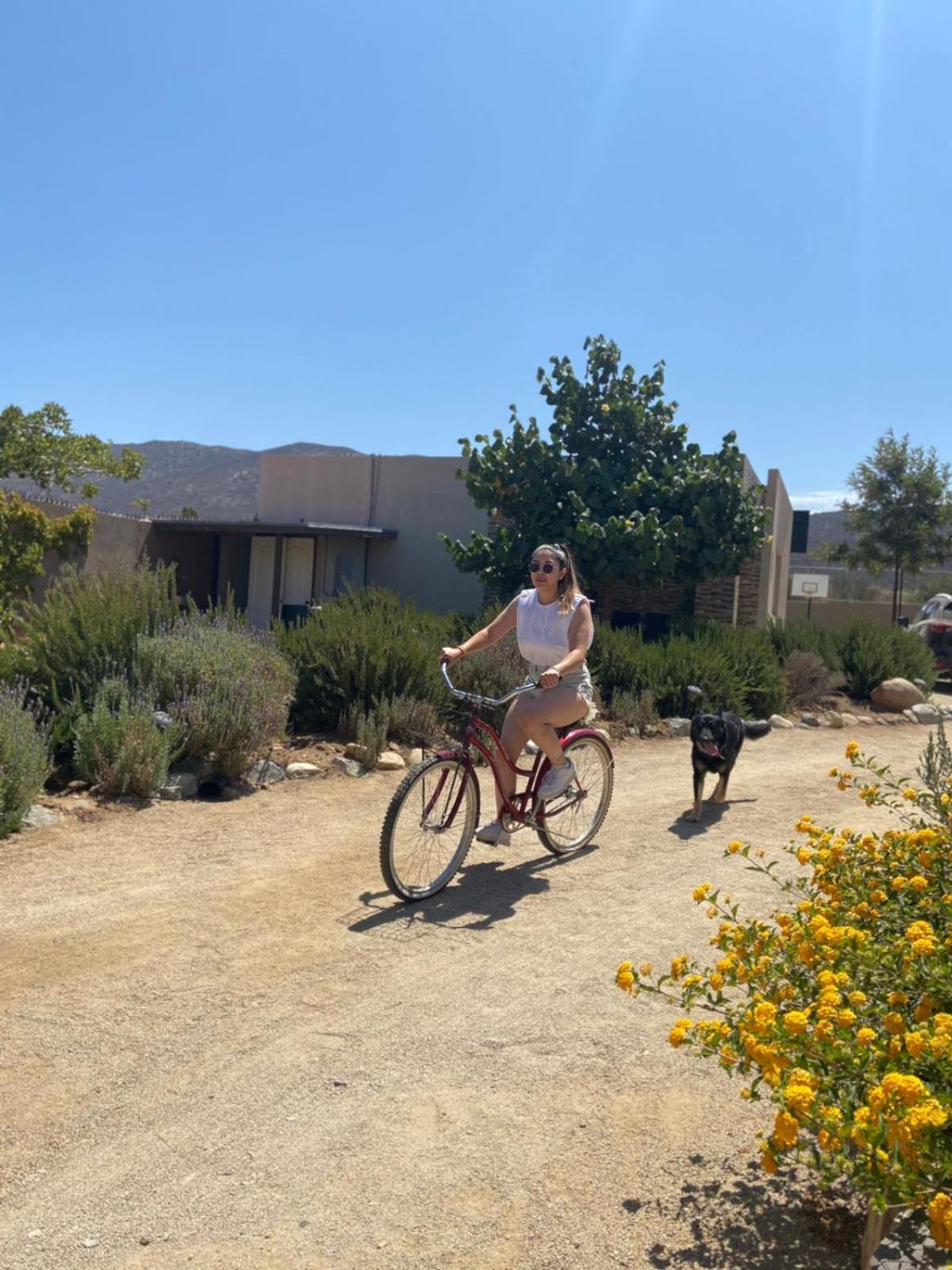 Quinta Lorame Otel Villa de Juarez Dış mekan fotoğraf