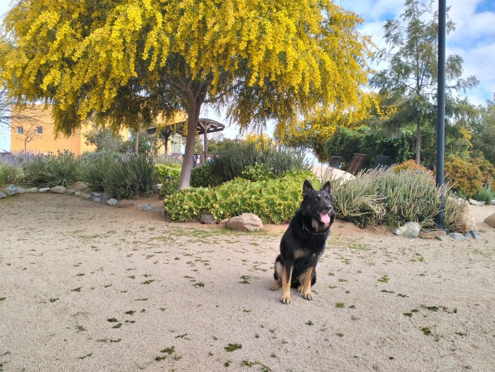 Quinta Lorame Otel Villa de Juarez Dış mekan fotoğraf